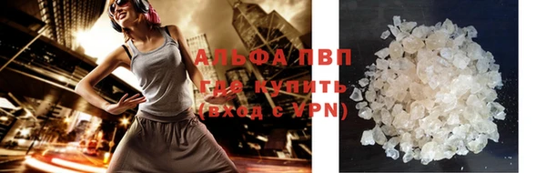 прущие грибы Аркадак