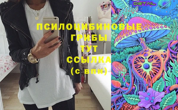 прущие грибы Аркадак