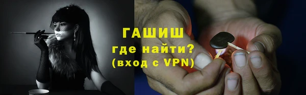 прущие грибы Аркадак