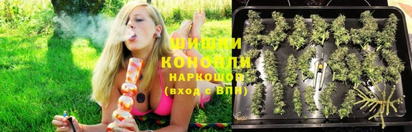 прущие грибы Аркадак