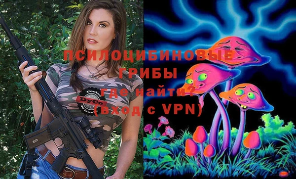 дмт Армянск