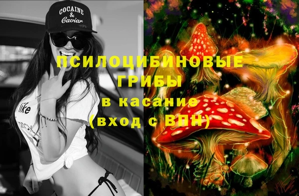прущие грибы Аркадак