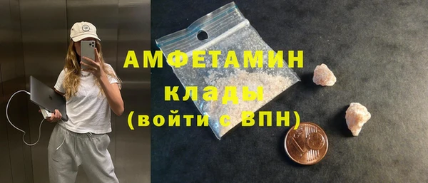 прущие грибы Аркадак