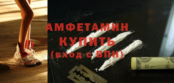 прущие грибы Аркадак