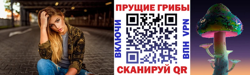 Псилоцибиновые грибы Psilocybe  Баксан 
