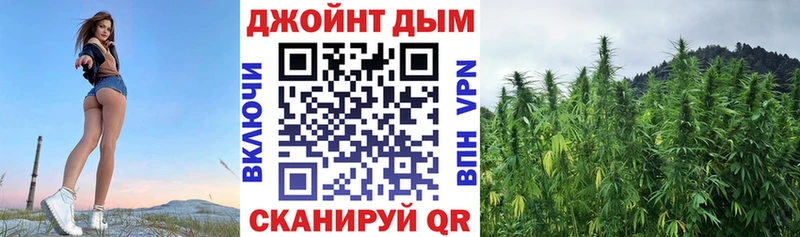 Канабис ГИДРОПОН  Баксан 